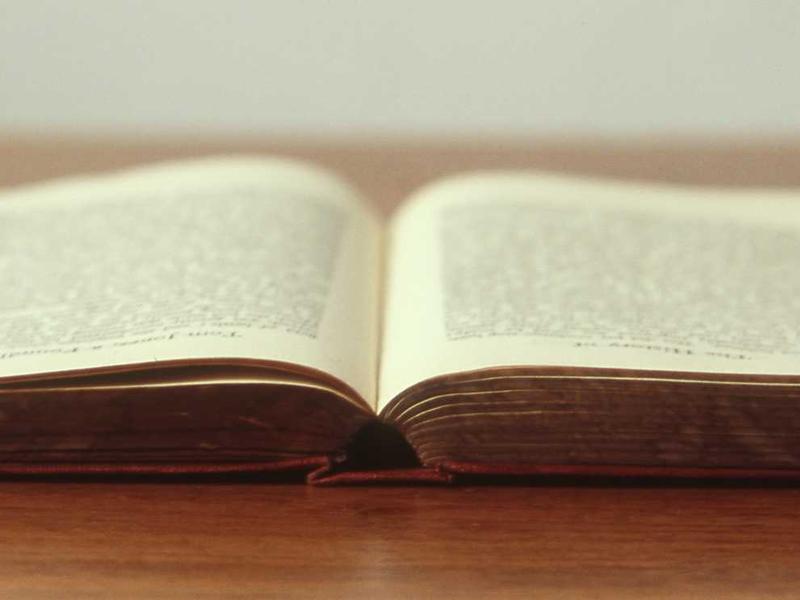 Language Programme